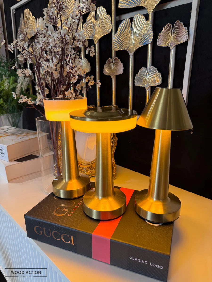 LED LAMP RECHARGEABLE